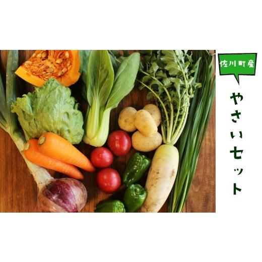 ふるさと納税 高知県 佐川町 高知から直送！旬の季節のお野菜セット（7~10品）