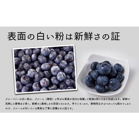 ふるさと納税 有機JAS認証オーガニックブルーベリー 500g 熊本県阿蘇市