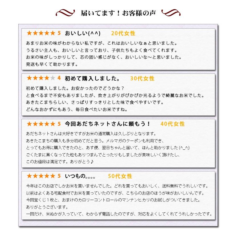 新米 無洗米 10kg 送料無料 あきたこまち 秋田小町 5kg×2袋 秋田県産 令和5年産 米 お米 食品 北海道・沖縄は追加送料