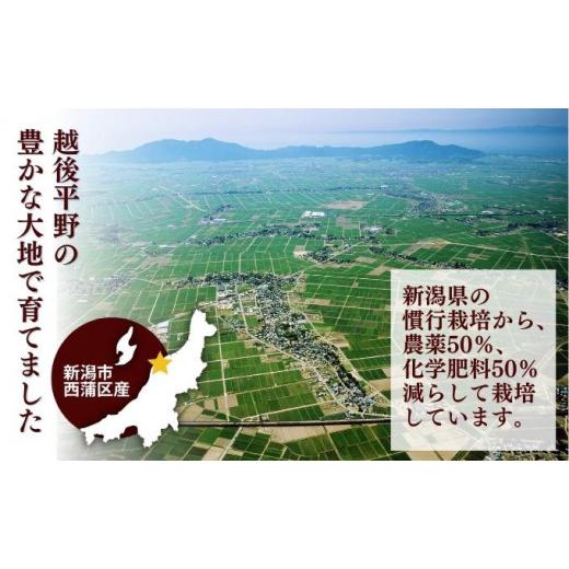 ふるさと納税 新潟県 新潟市 堆肥で育てた新潟産こしひかり10kg