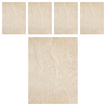 木百貨 塗裝樺木合板 400 x 300 x 5mm  5個