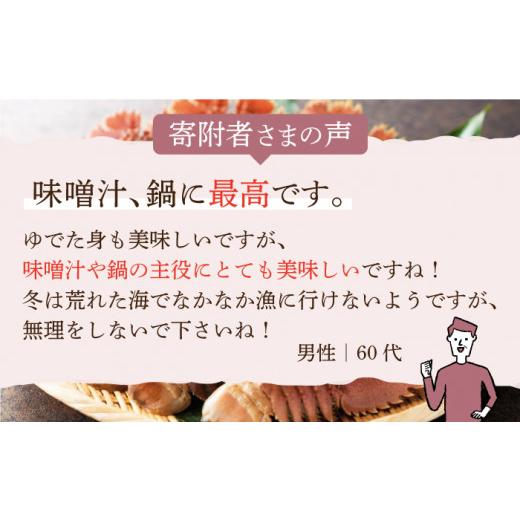 ふるさと納税 長崎県 平戸市 漁師直送！ 活き！ 平戸の「うちわえび」 計3.6kg（600g×6回） 平…