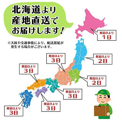 豚丼の具 北海道 十勝 たれ付き 冷凍 6食セット 肉の山本 北国からの贈り物