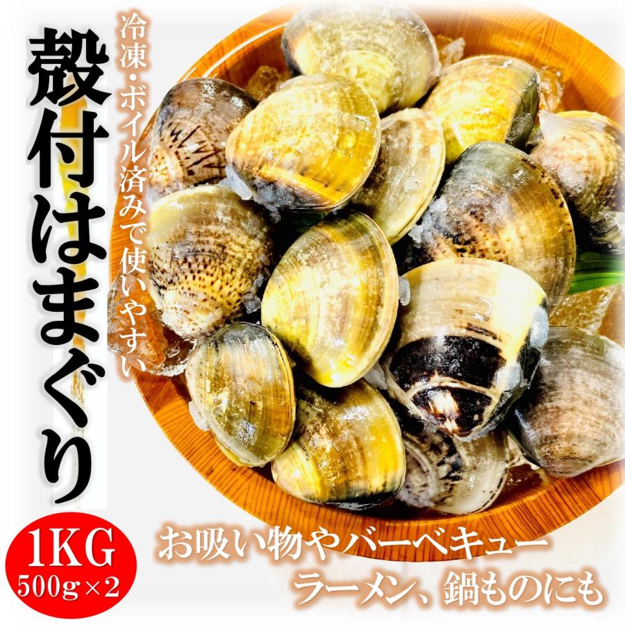 はまぐり L サイズ 1kg (500g ×２PC 20〜30個入 殻付 冷凍 ハマグリ 蛤   はまぐり 砂抜き済 ボイル済み