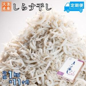 ふるさと納税 定期便 しらす干し (1kg×11か月) 天然 ふっくら 大洗 名産 しらす シラス 魚 さかな 魚介 離乳食 茨城県大洗町