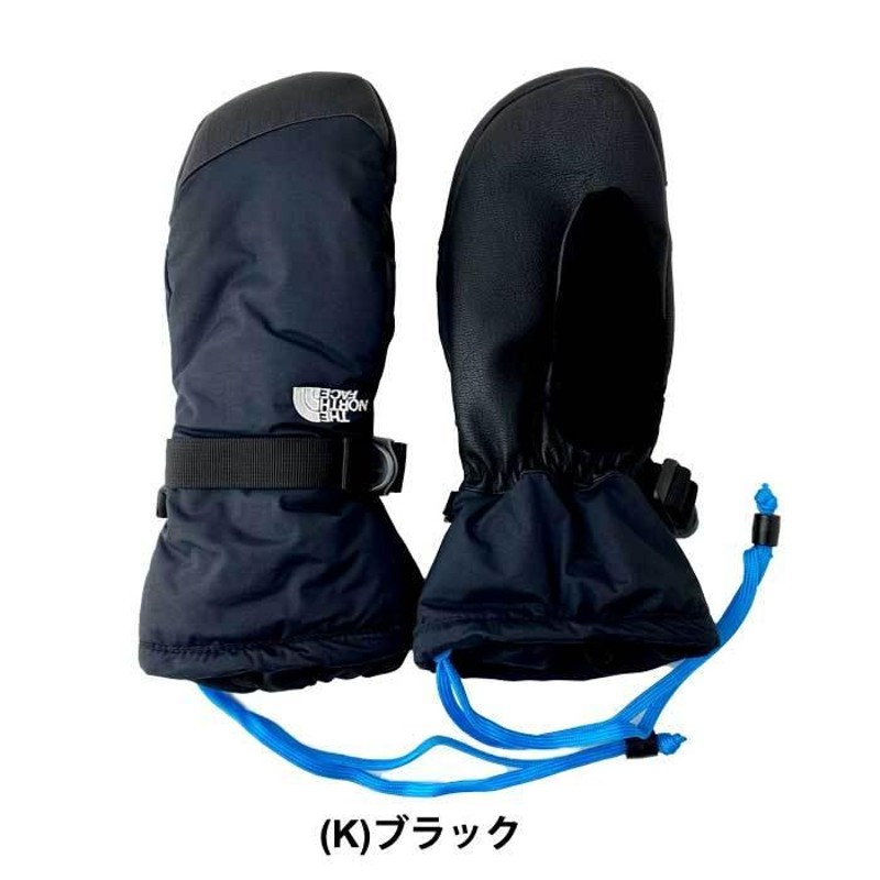 THE NORTH FACE ノースフェイス手袋 BM グローブ スキー雪スノボ 手袋