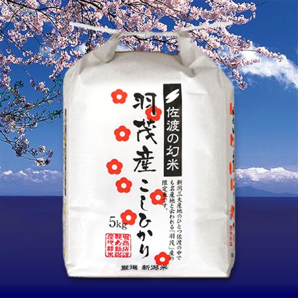 [新米 令和5年産] 佐渡羽茂産コシヒカリ 佐渡の幻米 特選限定米 5kg (5kg×1袋) 新潟米 お米 白米 こしひかり 送料無料 ギフト対応