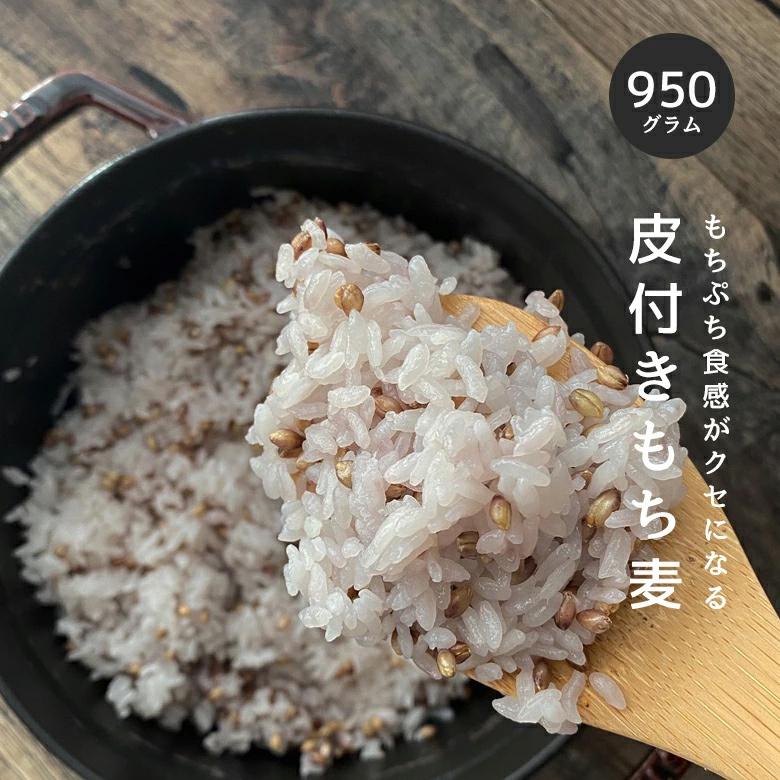 もち麦 皮付き950g ダイシモチ 紫もち麦 国内産 雑穀 雑穀米 ダイエット 無添加 メール便 自然の蔵