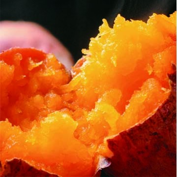 【好神】66號冰烤地瓜12包組(500g/包)