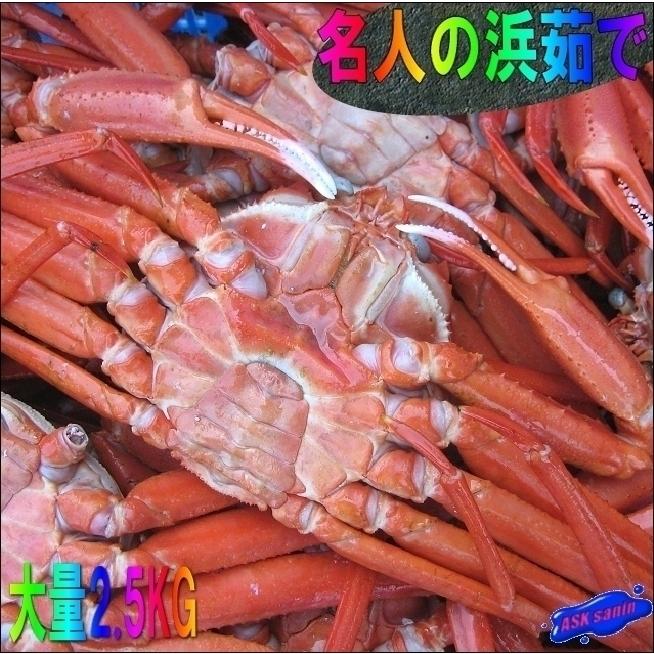 「浜茹で蟹 特選6尾位で2.5kg」　(紅ずわい蟹)