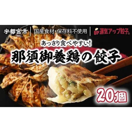 ふるさと納税 宇都宮餃子　那須御養鶏の餃子20個　保存料不使用 栃木県宇都宮市