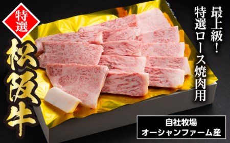 SS01　松阪牛焼肉（特選ロース）　500ｇ／（冷凍）ギフト箱包装　瀬古食品　JGAP認定　松阪肉　名産　お取り寄せグルメ　三重県　大台町