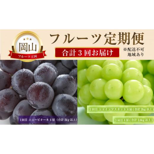 ふるさと納税 岡山県 瀬戸内市 フルーツ 定期便 2024年 先行予約 晴れの国 おかやま の ニュー ピオーネ 4房（2kg以上） シャイン マスカット 4房（2kg以上） …