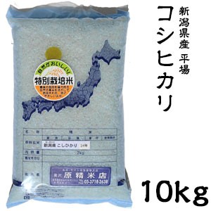 米 日本米 Aランク 令和4年度産 新潟県産 平場コシヒカリ 10kg