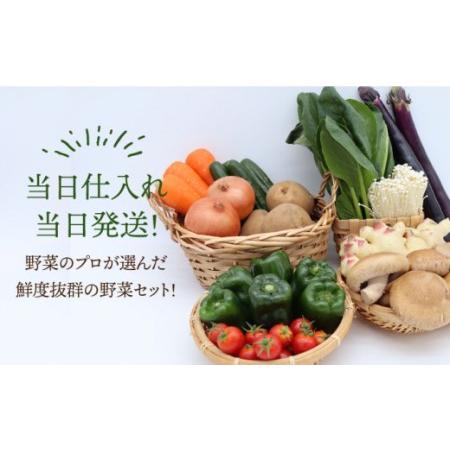 ふるさと納税 野菜定期便 キノコをセット「12回（毎月）」お届け 10品目以上 詰め合わせ 12回 きのこ 新鮮 毎月 定期 旬 野菜セ.. 長崎県南島原市