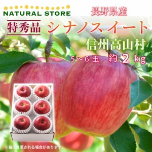 [予約 10月10日-11月30日の納品] 特秀 シナノスイート 5-6玉 約2kg 大玉 秋ギフト りんご 長野県 信州高山村 JA須高 高山共撰所