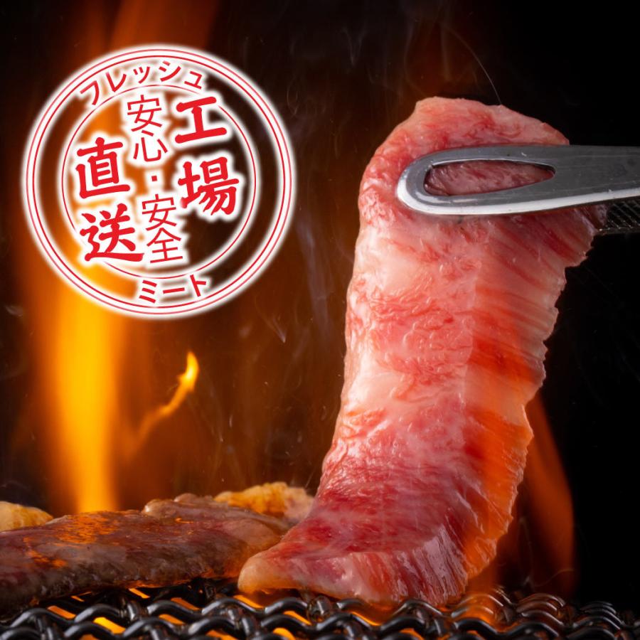 牛肉 焼肉 国産 5種類の希少部位の焼肉セット  焼肉 500g 鉄板焼き BQQ バーベキュー 鳥取県産 ギフト