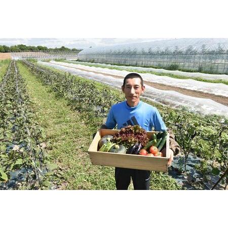 ふるさと納税 北海道旭川産　旬の無農薬栽培 野菜の詰め合わせ　6〜8種（3〜5kg） 北海道旭川市