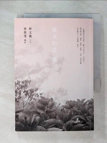 【書寶二手書T1／短篇_CVR】最美的是霧_林文義字