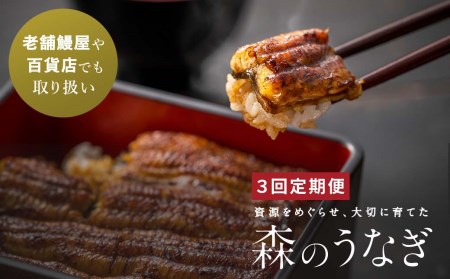 国産うなぎ  手焼き蒲焼 2尾(220g以上)セット 森のうなぎ  A-AA-B01A