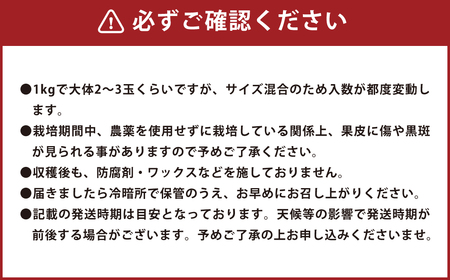 環境マイスターのグレープフルーツ 良品・訳あり混合 10kg (栽培期間中は無肥料・無農薬)