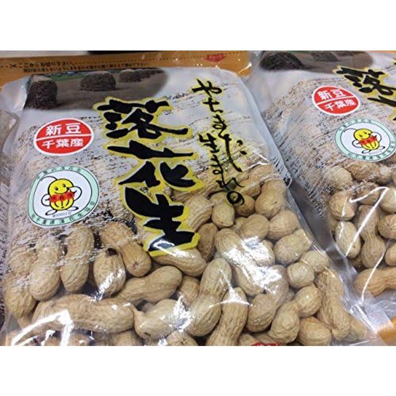 煎ざや(ナカテユタカ)500g 千葉県八街産落花生