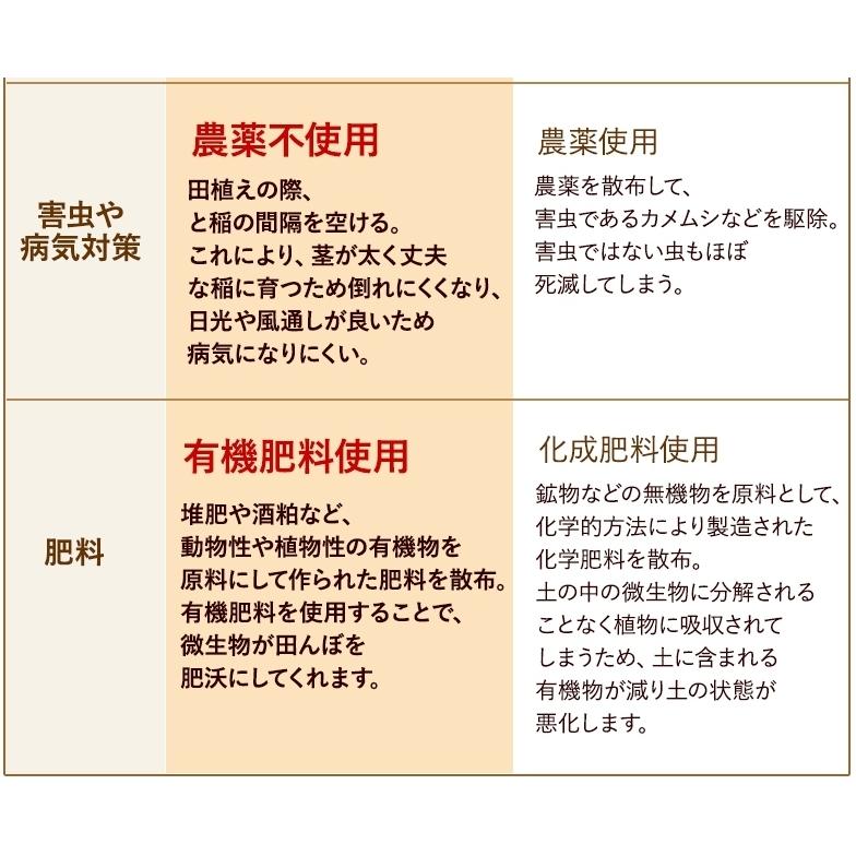 無農薬 玄米 米 20kg(5kg×4）無農薬 ミルキークイーン プレミアム 令和5年福井県産 新米入荷 送料無料 無農薬・無化学肥料栽培