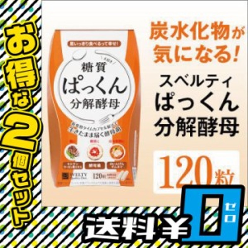 ポイント増量 ぱっくん分解酵母 120粒×2個セット ダイエット