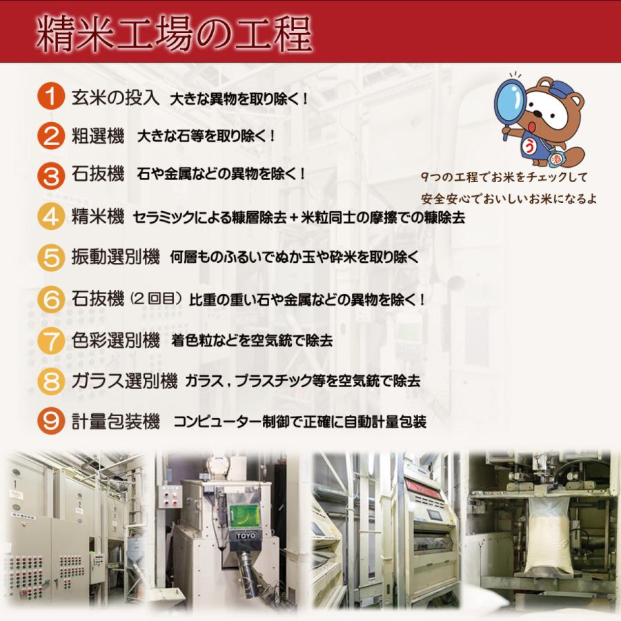 新米　無洗米　令和５年産　高知県産　こしひかり　5kg　米　お米　おこめ　白米　精米　