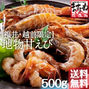 お刺身OK！希少な越前産ガラエビ500g 約30匹 送料無料※冷凍  えび エビ 海老 ガラエビ 刺身 海鮮 魚介 海の幸