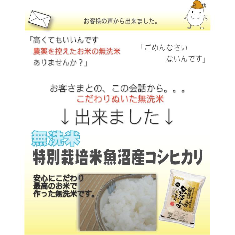 新米 無洗米 5kg×4 新潟県 魚沼産 コシヒカリ 20kg 令和5年産 送料無料 特別栽培米 特A