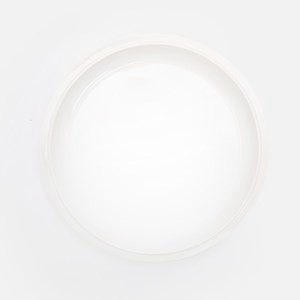 ZONE Eau白瓷平盤21.5cm 象牙白