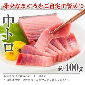 ふるさと納税 南まぐろの大トロ〜赤身セット 南まぐろ刺身用大トロ、上トロ、中トロ、赤身（計1.4kg） 希少な天然南まぐろをご家庭で.. 鹿児島県いちき串木野市