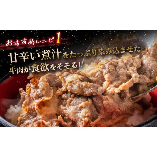 ふるさと納税 宮崎県 日南市 ≪数量限定≫宮崎牛小間切れ＆ミンチセット(合計1kg)　肉　牛　牛肉 BB126-23