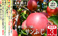 りんご サンふじ 家庭用 3kg 沖縄県への配送不可 2023年12月中旬から2024年2月上旬まで順次発送予定 令和5年度収穫分 静谷りんご園 減農薬栽培 信州の環境にやさしい農産物認証 長野県 飯綱町 [1315]