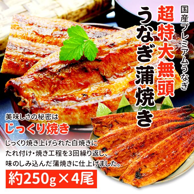 鹿児島産 新 超特大 国産 うなぎ蒲焼き 約250g×4尾 送料無料 ギフトボックス付 海鮮 プレゼント グルメ ギフト