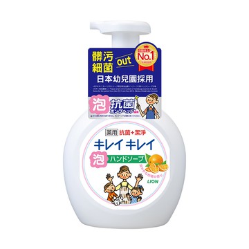 獅王趣淨洗手慕斯-清爽柑桔