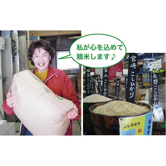 鹿児島コシヒカリ 玄米  5kg 令和5年産