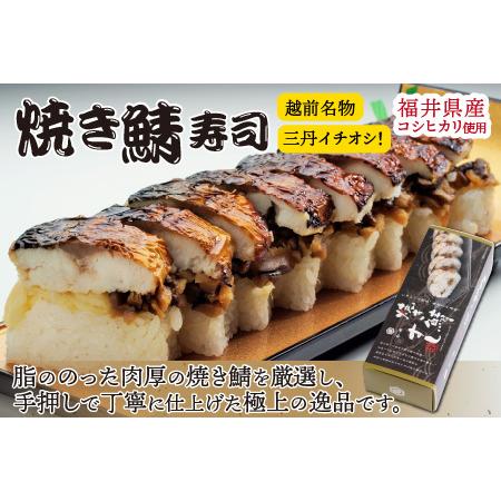 ふるさと納税 押し寿司セット(焼き鯖寿司、小鯛の押し寿司、炙り穴子の押し寿司) 3種20貫入《大人気返礼品！》／ 越前名物 おすし 押し寿司 鯖.. 福井県あわら市