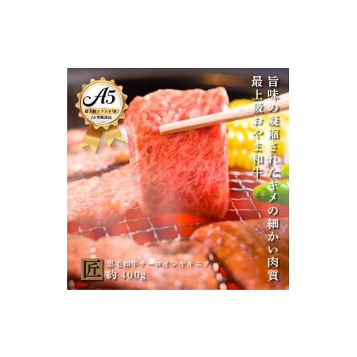 ふるさと納税 栃木県 小山市 おやま和牛 A5 極 サーロイン 焼肉用　約400g　焼肉