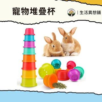 兔子玩具 兔兔玩具 兔玩具 疊疊杯玩具 兔子訓練 解悶玩具 小寵玩具 小寵疊杯玩具 小寵疊疊杯 寵物互動玩具