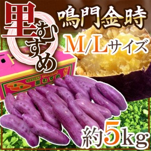 徳島県産 ”鳴門金時 里むすめ” 秀品 M～Lサイズ 約5kg さつまいも