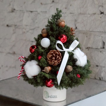 【& Grace Flower永生花禮花藝店】經典溫暖永生聖誕樹 (迷你)  永生花 送禮 質感 氣氛 節日送禮 禮物