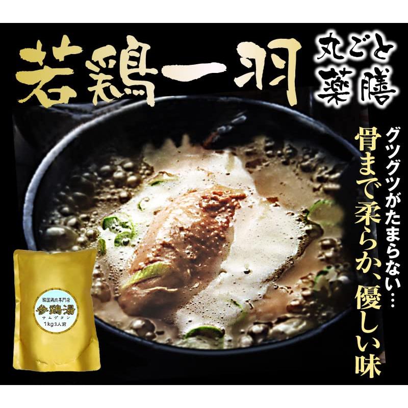 サムゲタン参鶏湯 無添加（薬膳スタミナ料理・1kg）レトルト