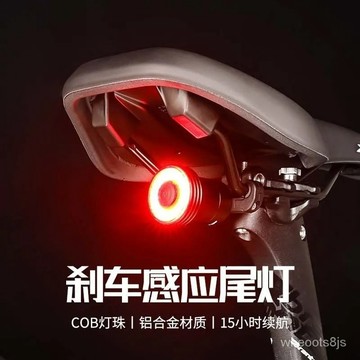 限時下殺🔥自行車山地尾燈充電單車山地車公路夜騎警示燈騎行騎燈裝備車燈