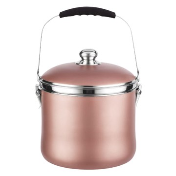 SILWA 西華 節能免火再煮鍋 7L  23cm  香檳金色  1個