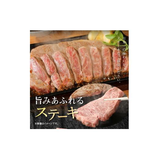 ふるさと納税 宮崎県 延岡市 宮崎牛 ロース ステーキ 250g×2 計500g　N0147-ZB117