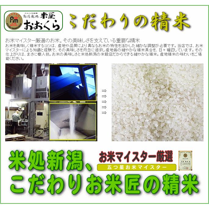 お米 30kg 白米  新潟県産 こしいぶき （ 令和5年産 ） 30kg （10kg×3袋）