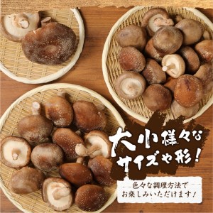 生しいたけ 大小Mixセット(1kg)