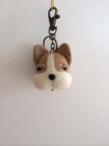 汪星人 法鬥  鬥牛犬